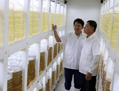 Công ty Cổ phần Đầu tư S6 (xã Nhơn Hải, huyện Ninh Hải) xây dựng hệ thống ương tảo phục vụ nuôi tôm. Ảnh: Công Thử - TTXVN