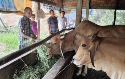 Chi bộ ấp Mỹ Quí, xã Tân Xuân (Ba Tri, Bến Tre) tham quan mô hình phát triển kinh tế thoát nghèo của hộ dân trong ấp. Ảnh: Huỳnh Phúc Hậu - TTXVN