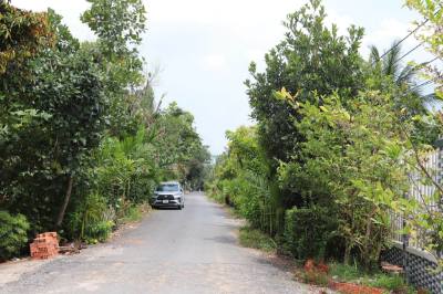 Đường giao thông nông thôn tại xã Mỹ Trung (Tiền Giang) được bê tông hóa. Ảnh: Minh Trí - TTXVN