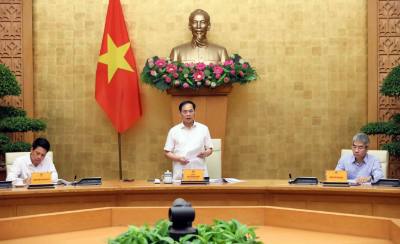 Phó Thủ tướng, Bộ trưởng Bộ Ngoại giao Bùi Thanh Sơn, Tổ trưởng Tổ Chỉ đạo số 6 phát biểu. Ảnh: An Đăng - TTXVN