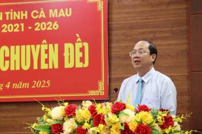 Bí thư Tỉnh ủy Cà Mau Nguyễn Hồ Hải phát biểu tại Kỳ họp. Ảnh: Kim Há - TTXVN