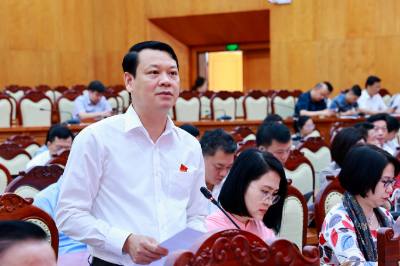 Các đại biểu đóng góp ý kiến vào dự thảo Nghị quyết sửa đổi, bổ sung một số điều của Hiến pháp năm 2013. Ảnh: Thu Hằng-TTXVN
