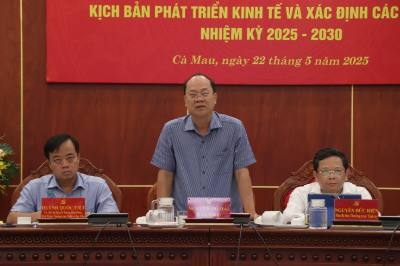 Bí thư Tỉnh ủy Cà Mau Nguyễn Hồ Hải phát biểu. Ảnh: Kim Há - TTXVN 