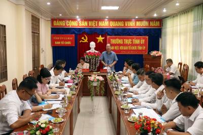 Bí thư Tỉnh ủy Cà Mau Nguyễn Hồ Hải phát biểu tại buổi làm việc với Ban Tổ chức Tỉnh ủy Cà Mau. Ảnh: Kim Há - TTXVN