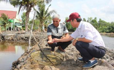 Bên cạnh việc triển khai đầy đủ và kịp thời các chế độ cho gia đình chính sách, người có công, các xã, phường của tỉnh Cà Mau còn hỗ trợ đối tượng người có công phát triển sản xuất, nâng cao thu nhập. Ảnh: TTXVN phát