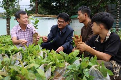 Số cây giống được tiếp nhận tại Đại hội. Ảnh: Cao Nguyên – TTXVN.