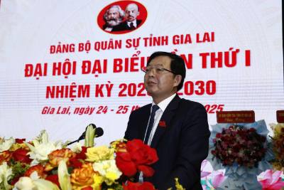 Bí thư Tỉnh ủy Hồ Quốc Dũng phát biểu tại Đại hội. Ảnh: Sỹ Thắng-TTXVN
