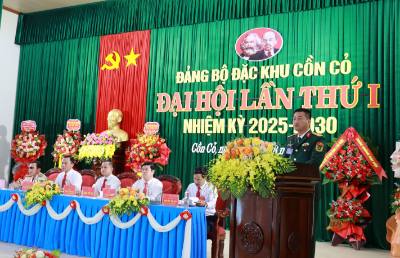 Phó Bí thư Đảng uỷ, Chỉ huy trưởng Bộ Chỉ huy Quân sự tỉnh Quảng Trị Đoàn Sinh Hòa phát biểu chỉ đạo đại hội. Ảnh: Tường Vi - TTXVN. 