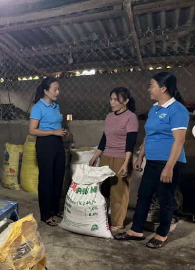 Đảng viên nữ xã Bình Sơn (Quảng Ngãi) đến tận nhà để trao đổi về mô hình phát triển kinh tế. Ảnh: Đinh Hương - TTXVN