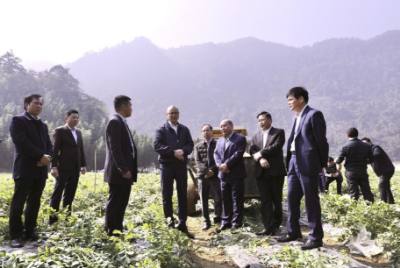 Bí thư Tỉnh ủy Phú Thọ Phạm Đại Dương đã thăm Hợp tác xã sản xuất rau an toàn Quyết Chiến (xóm Biệng), mô hình nông nghiệp sạch quy mô 22 ha. Ảnh: Trọng Đạt-TTXVN