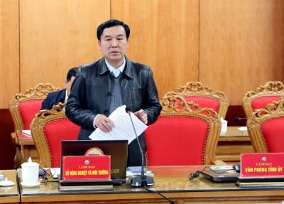 Lãnh đạo Sở Nông nghiệp và Môi trường tham luận về giải pháp phát triển lĩnh vực nông nghiệp theo hướng xanh, bền vững. Ảnh: Văn Đạt - TTXVN