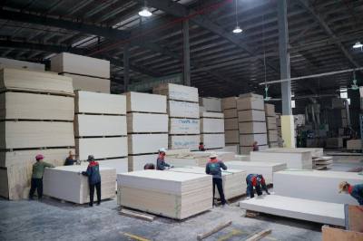 Phát triển công nghiệp chế biến gỗ gắn với lợi thế rừng trồng giữ vai trò chủ đạo trong phát triển công nghiệp, tạo động lực tăng trưởng cho Tuyên Quang trong giai đoạn phát triển mới. Ảnh: Hoàng Hải - TTXVN