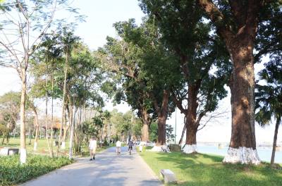 Ven sông Hương, trung tâm thành phố Huế vẫn giữ được không gian xanh. Ảnh: Nguyên Lý - TTXVN