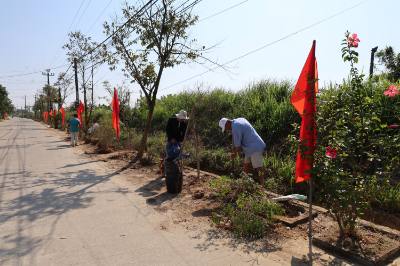 Người dân khu dân cư Cao Lâu Đông (xã Nam Phước, thành phố Đà Nẵng) trồng cây xanh ven tuyến đường chính nhằm chào mừng Đại hội lần thứ XIV của Đảng. Ảnh: Khoa Chương - TTXVN