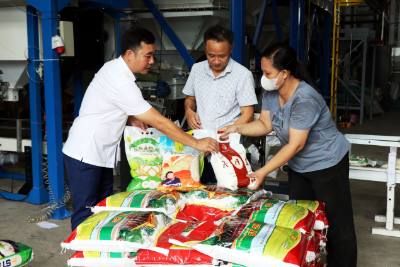 Các sản phẩm gạo của Công ty TNHH Cường Tân (xã Ninh Cường, tỉnh Ninh Bình). Ảnh: Nguyễn Lành - TTXVN